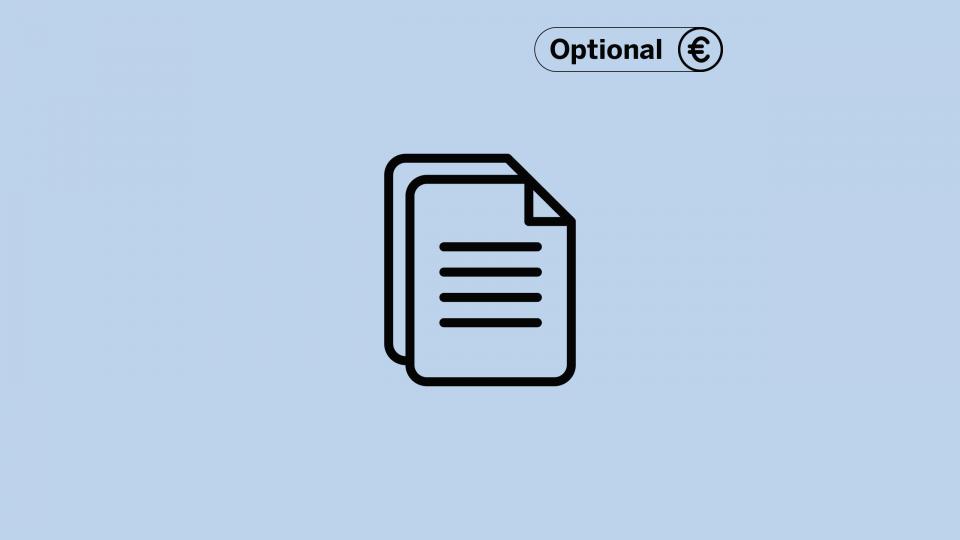 Icon eines Textdokuments und Label "Optional"